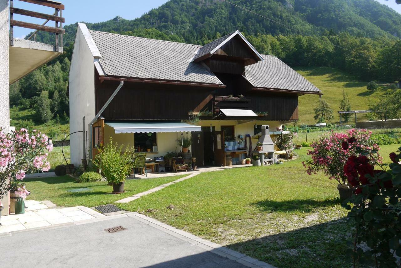 Apartments - Glamping Encijan Begunje na Gorenjskem Kültér fotó