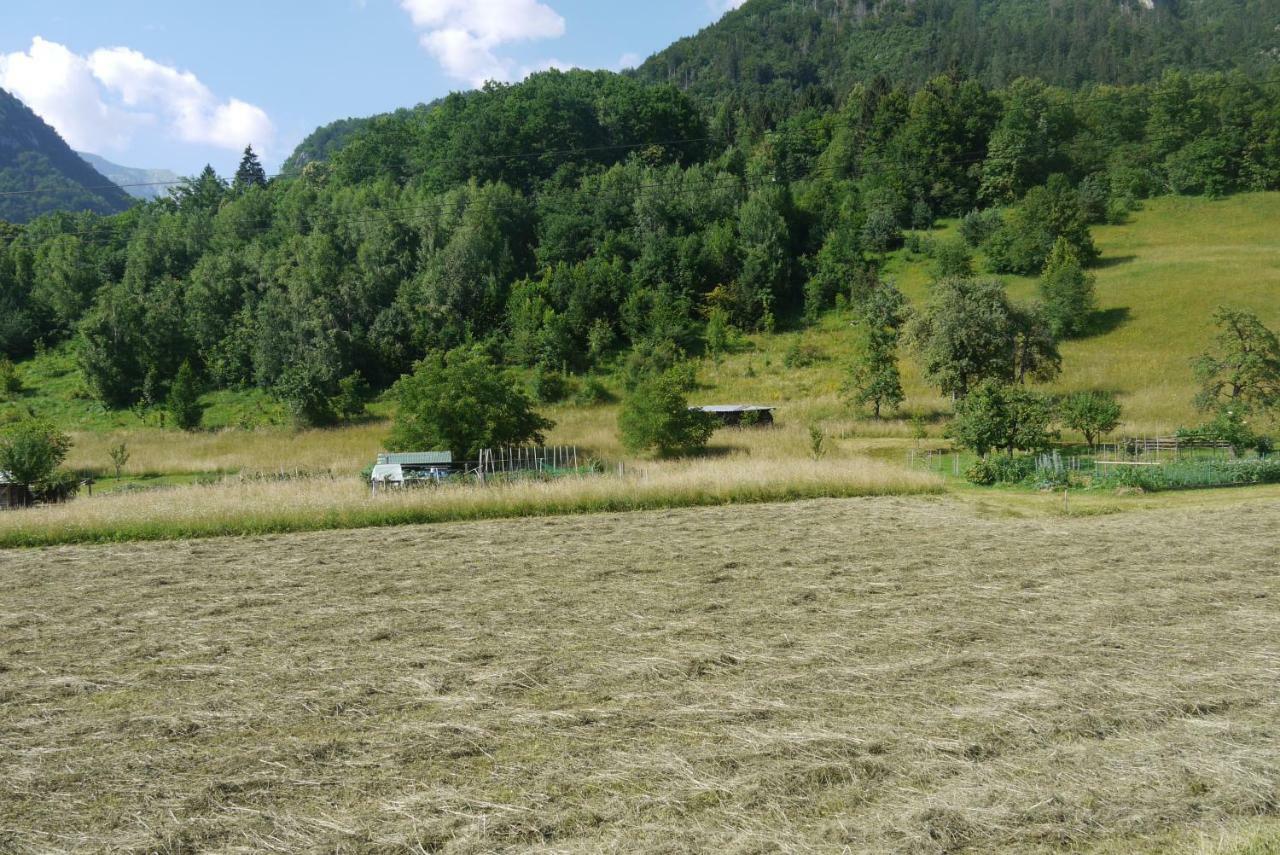 Apartments - Glamping Encijan Begunje na Gorenjskem Kültér fotó